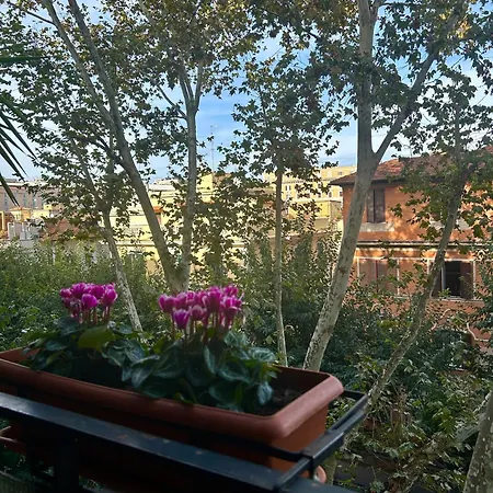Tiberia * Rome